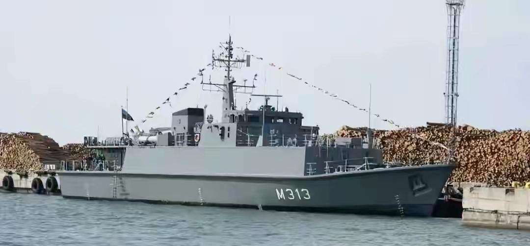 哈哈哈！作为波罗的海三傻之一的爱沙尼亚宣称，在了解美国的目标与计划后，打算向霍尔