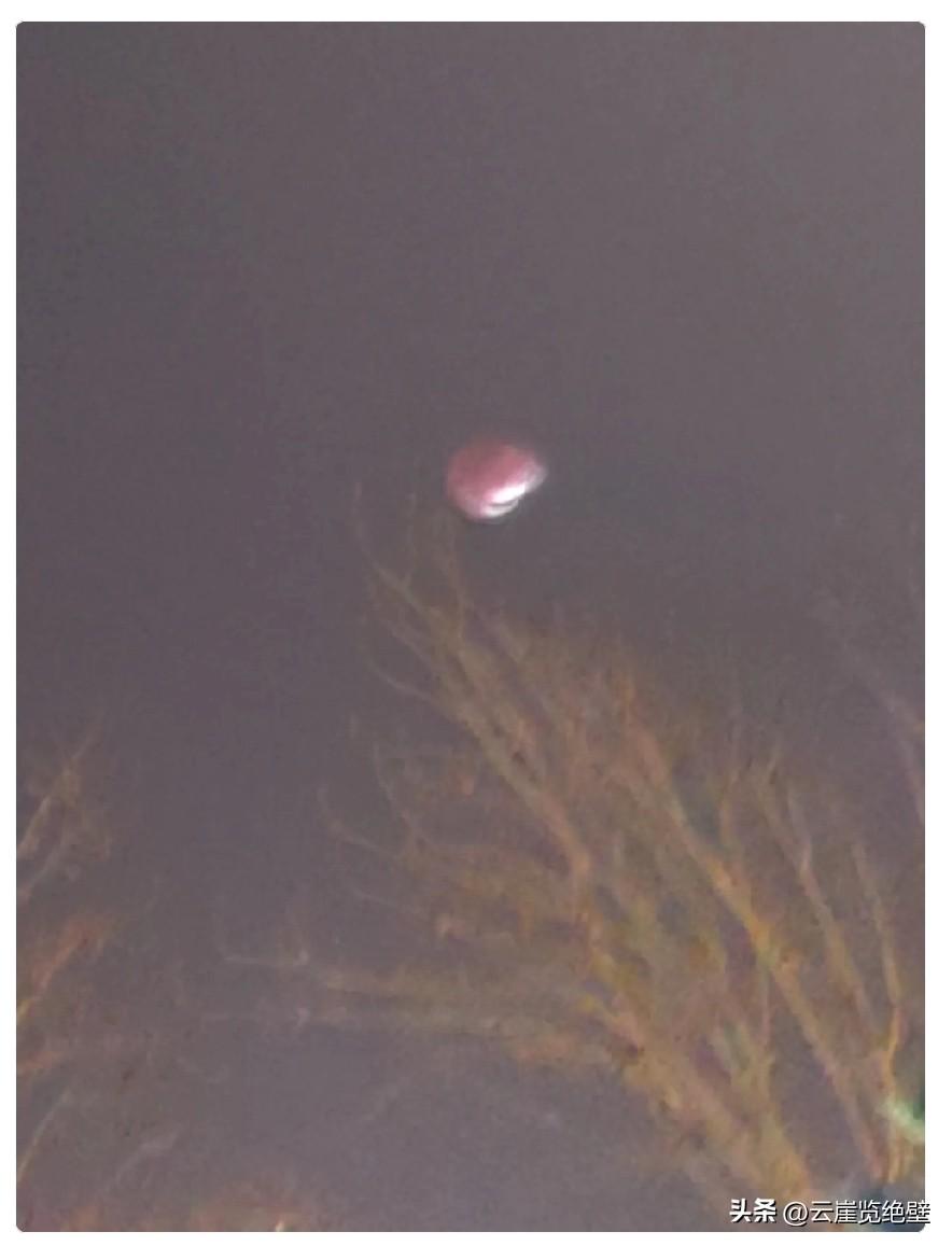 大家都不用着急，劳务派遣很快就会消失，因为劳务外包，比他更完美。
       