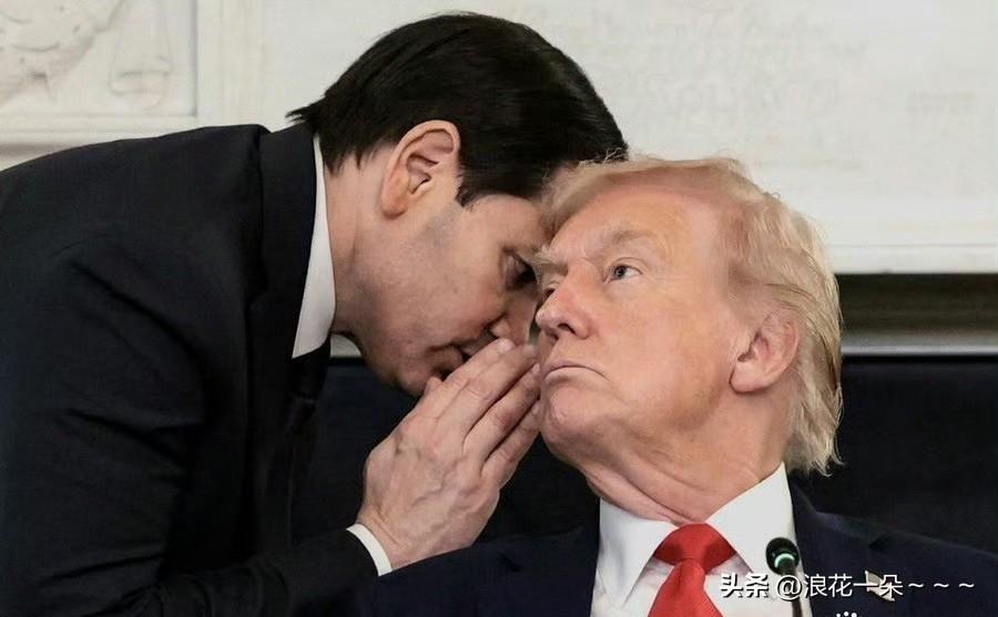 一大早，懵逼了！
我看了看美方政府对伊朗刚刚说的话，三句话不离“停火”，“谈判”