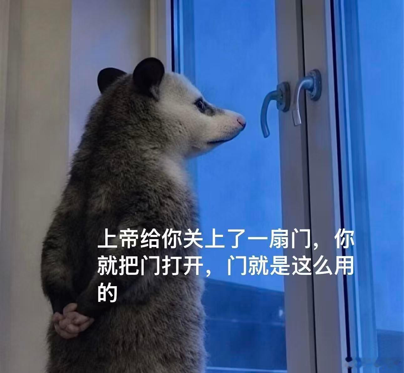 本周我完成了连续7天铁粉打卡，与的铁粉值额外增加1分！ 