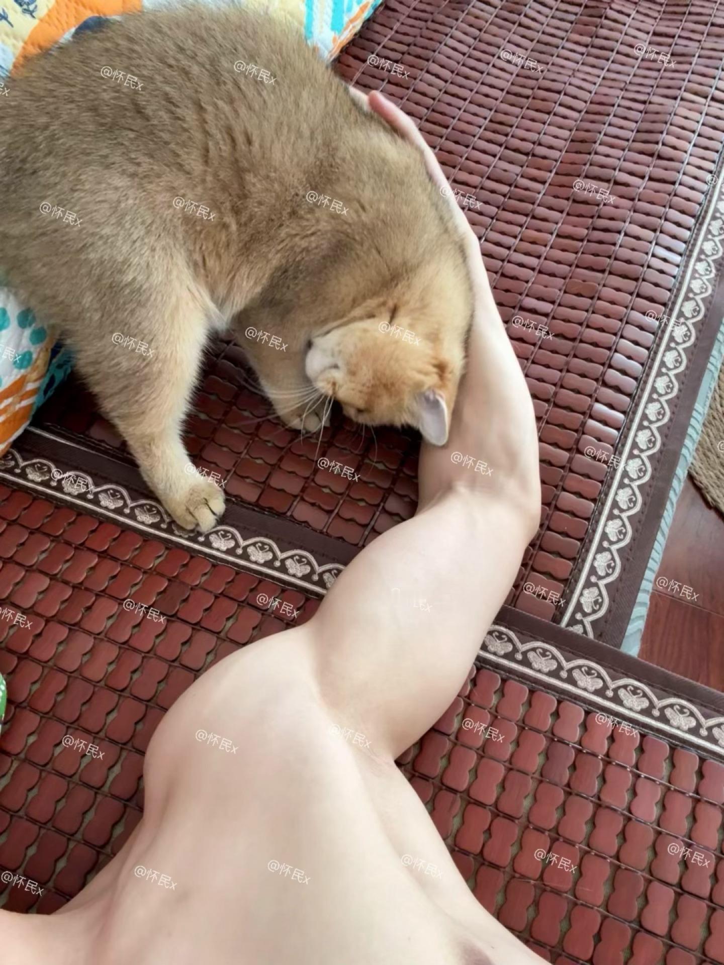 分享图片 ​​​