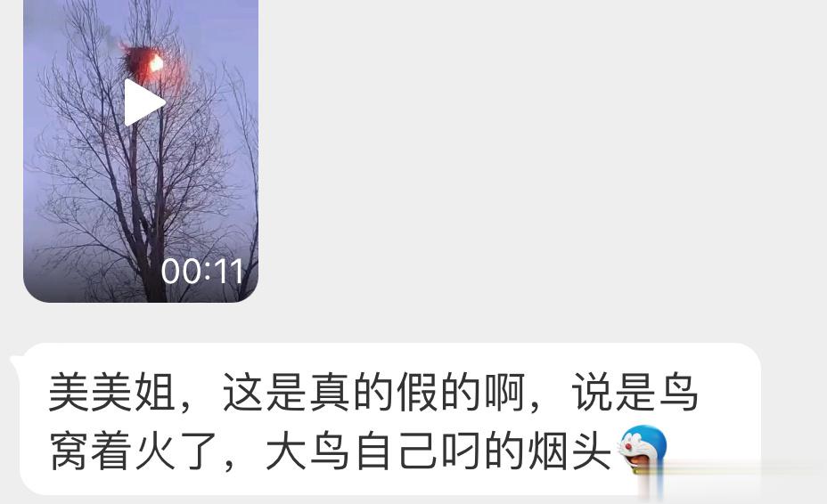 是【喜鹊】的窝估计叼了一根别人丢弃的烟头…然后把自己房子点着了坏消息：房子没了好