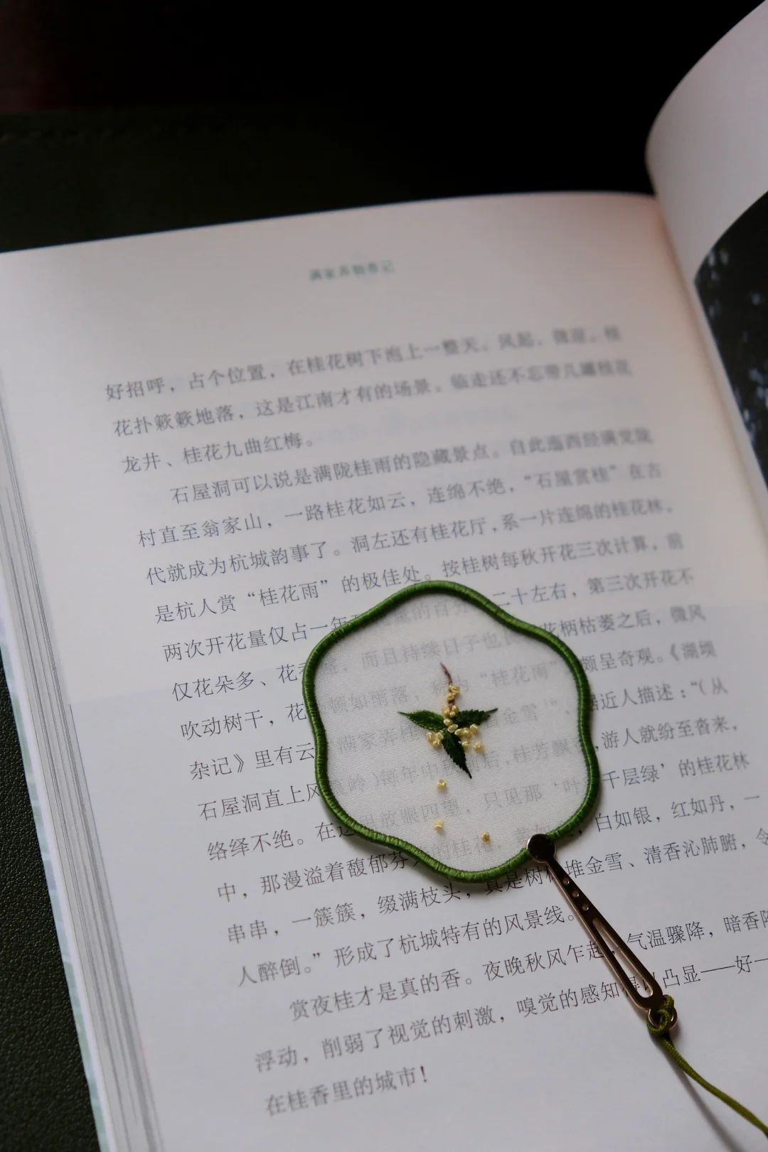 杭州的秋天是桂花味的空气👃