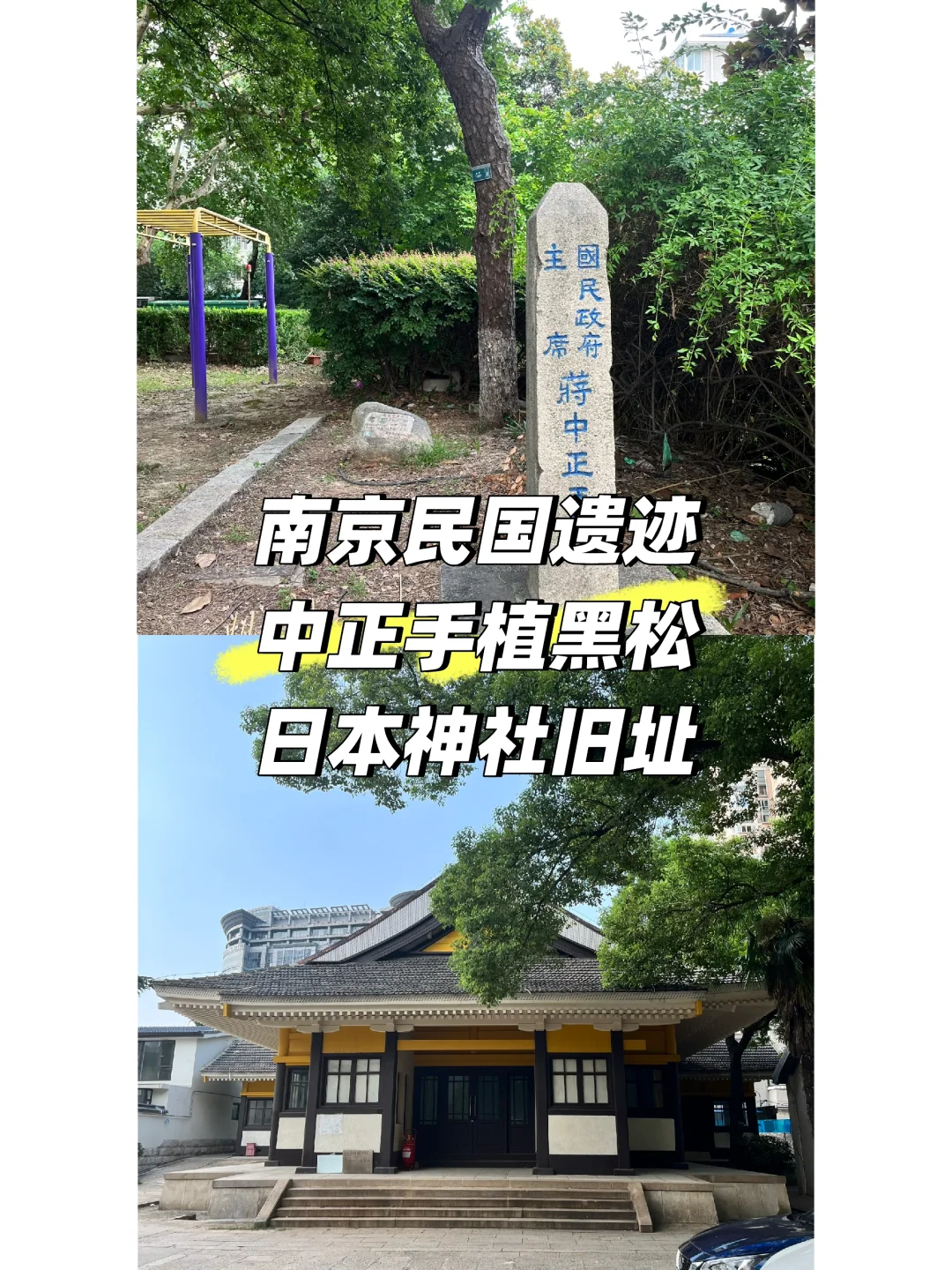 南京民国遗迹 | 中正手植黑松&日本神社旧址