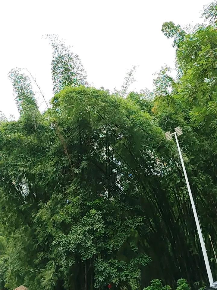 周末不开盘，但是有两件事直接影响下周，周一的开盘。
1，昨晚老美非农数据大超预期