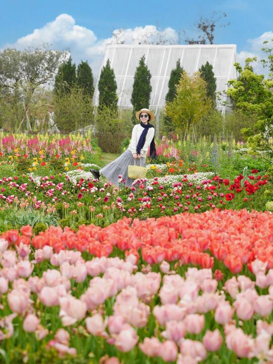 以为成都够美了...直到去了浪漫莫奈花园💐
