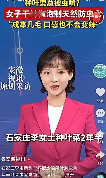 人怎么这么聪明！河北石家庄，一女子在家种青菜，结果大多被虫子吃的一干二净，女子疑