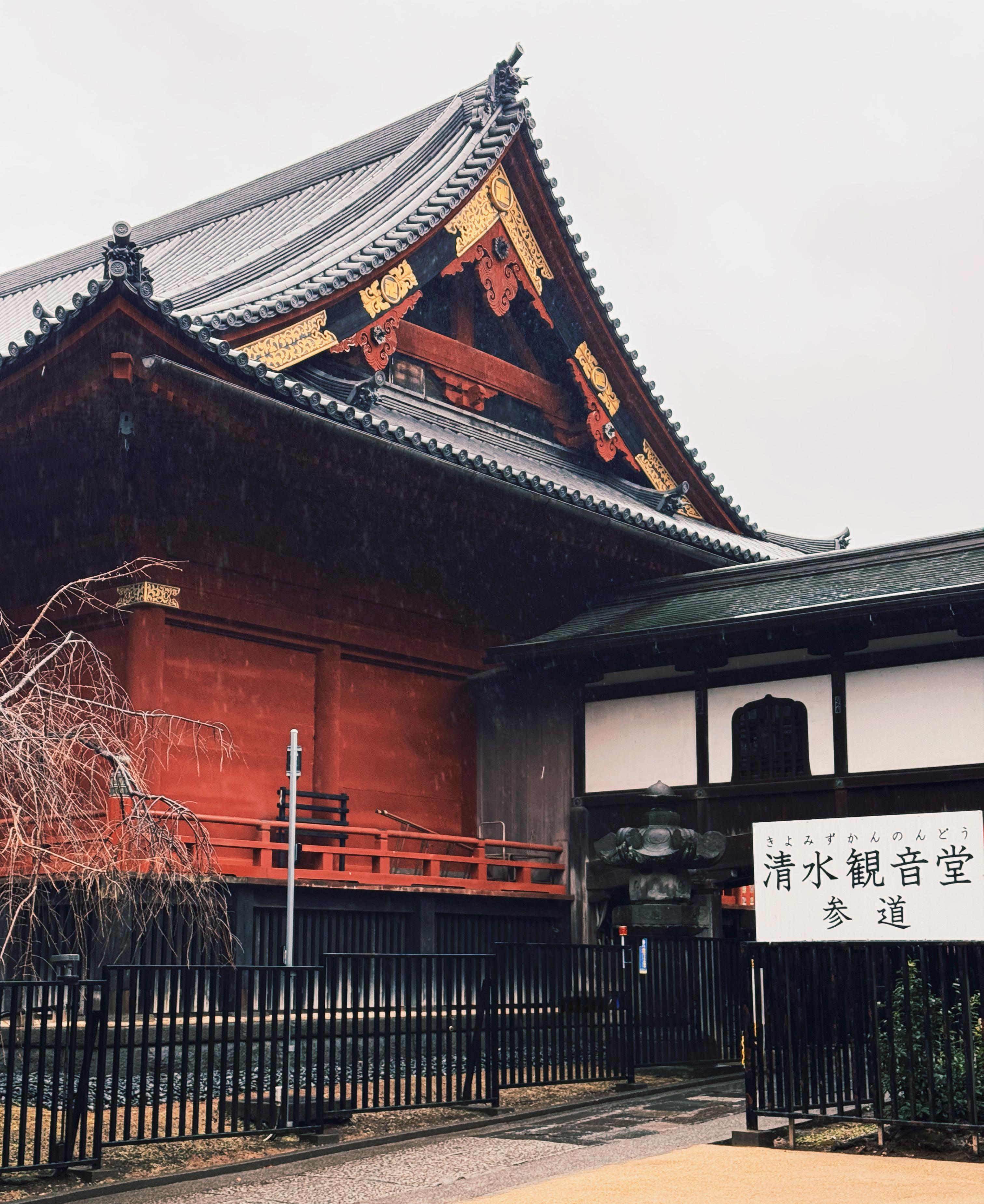 落花，樱，雨，坂，小径，林中神社，要素有点太齐全了 ​​​