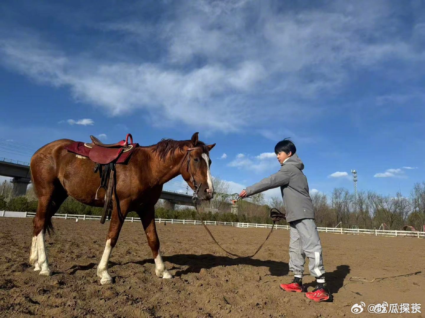 吴京带两个儿子骑马吴京带两个儿子骑马，就连小儿子都长这么大了。吴京带儿子骑马