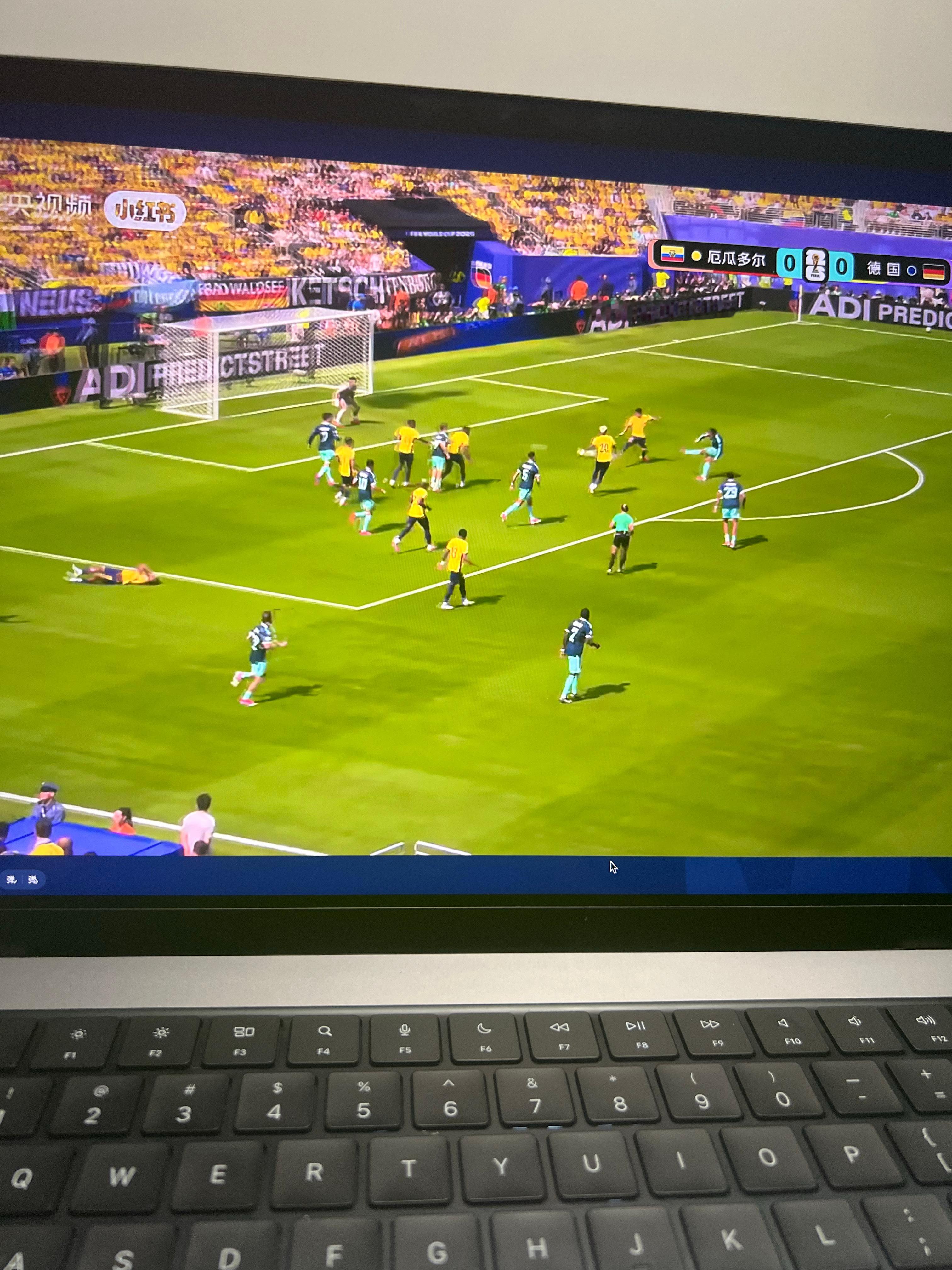 牛啊 开局没多久双方打门德国厄瓜多尔世界杯