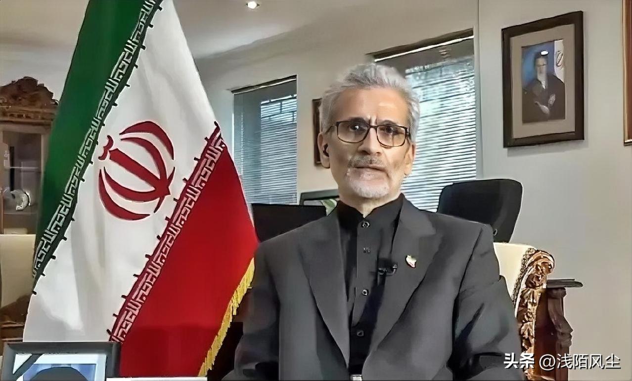 伊朗驻南非特使曼苏尔·沙基布·梅赫尔就美国推迟攻击伊朗能源电站表示：“我们既不会