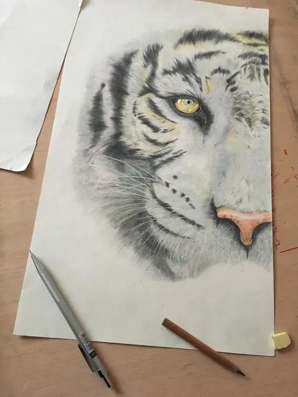 上联：画龙画虎难画骨；期待下联知人知面不知心