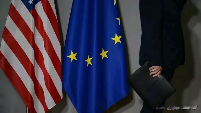 欧盟与美国在“对等、公平和平衡”框架贸易协议的联合声明中称，欧盟计划取消对美国所