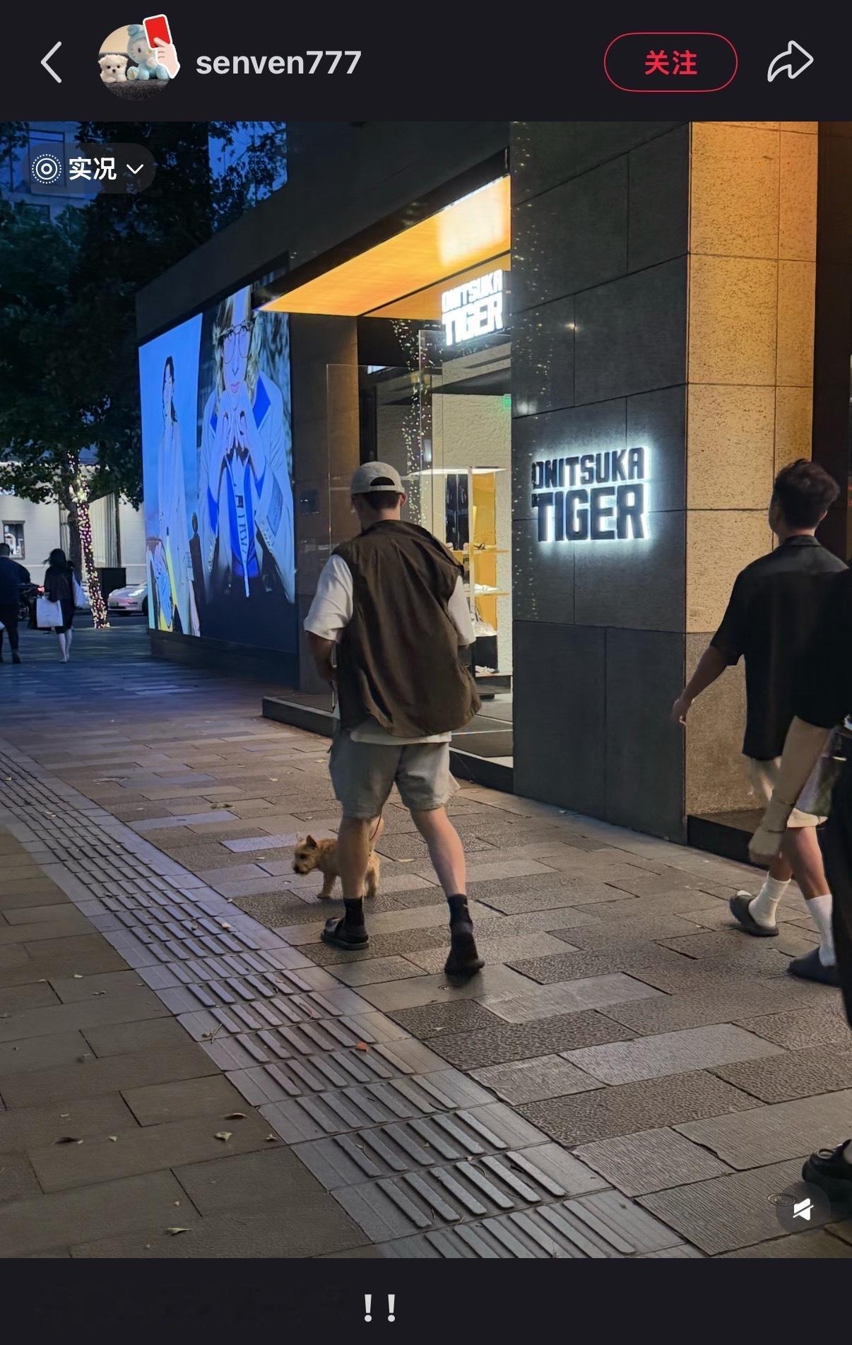 这次是遛狗哈哈哈上海偶遇黄景瑜遛狗偶遇黄景瑜遛狗