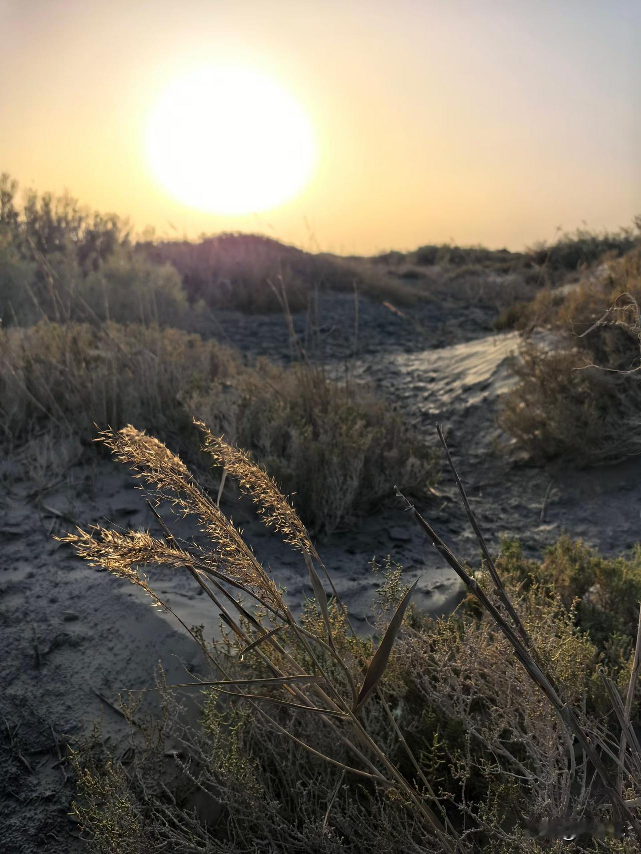 探寻米兰海藏秘境，领略星辰相伴的欢歌之美。东方米兰正于丝绸之路上书写崭新篇章，静