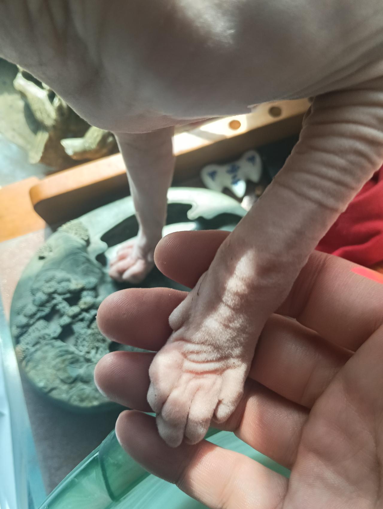 俄罗斯要求其他国家人员撤离基辅的事情怎么样了，这几天咋没动静了？基辅是不是一片废