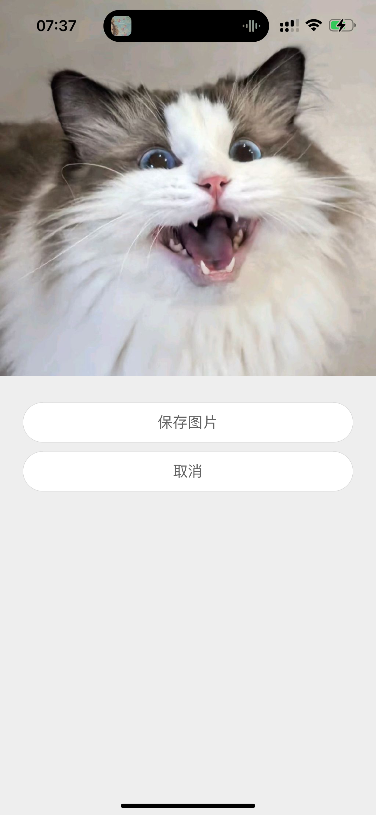 实在觉得没有那个脑子就不要觉得自己可以当谜语人神婆，大多数人所谓的分析就像图上一