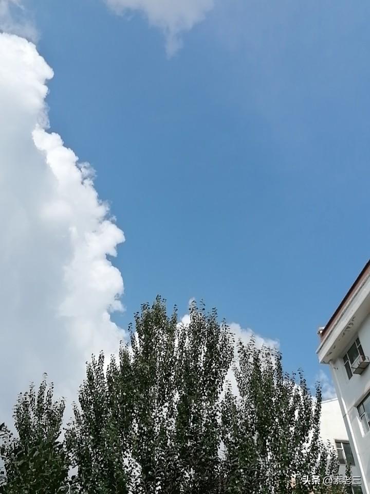 这一段时间以来，我的写作不在状态。我也写的懒洋洋的，不那么自律。

我一直说要自