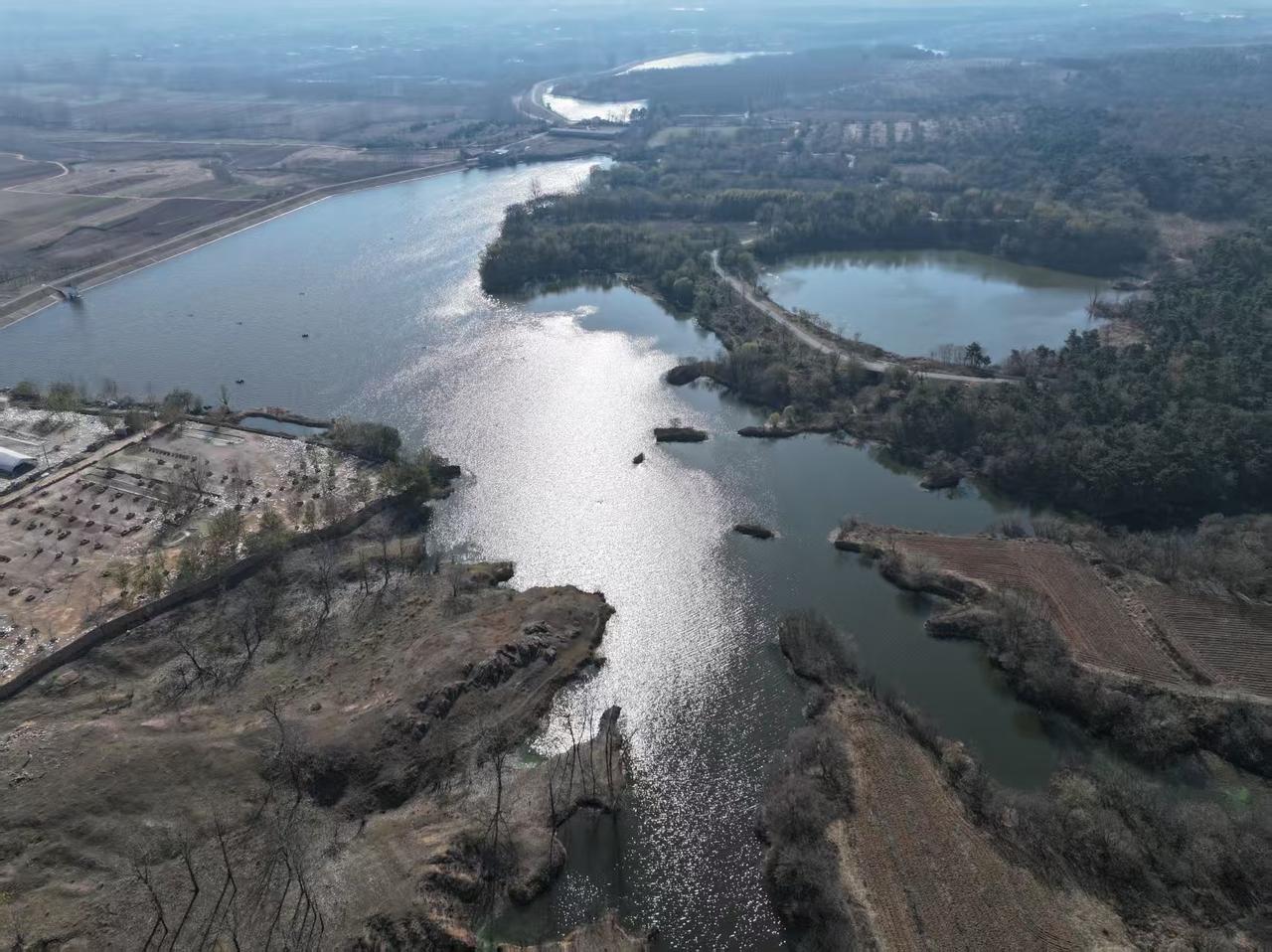 现在的东海李埝林场长啥样？ 

         东海李埝林场，核心区域是青松岭
