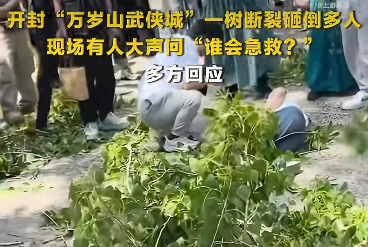 官方回应万岁山树断裂砸倒多名游客“树枝断裂”看似偶然，实则是景区精细化管理缺失的