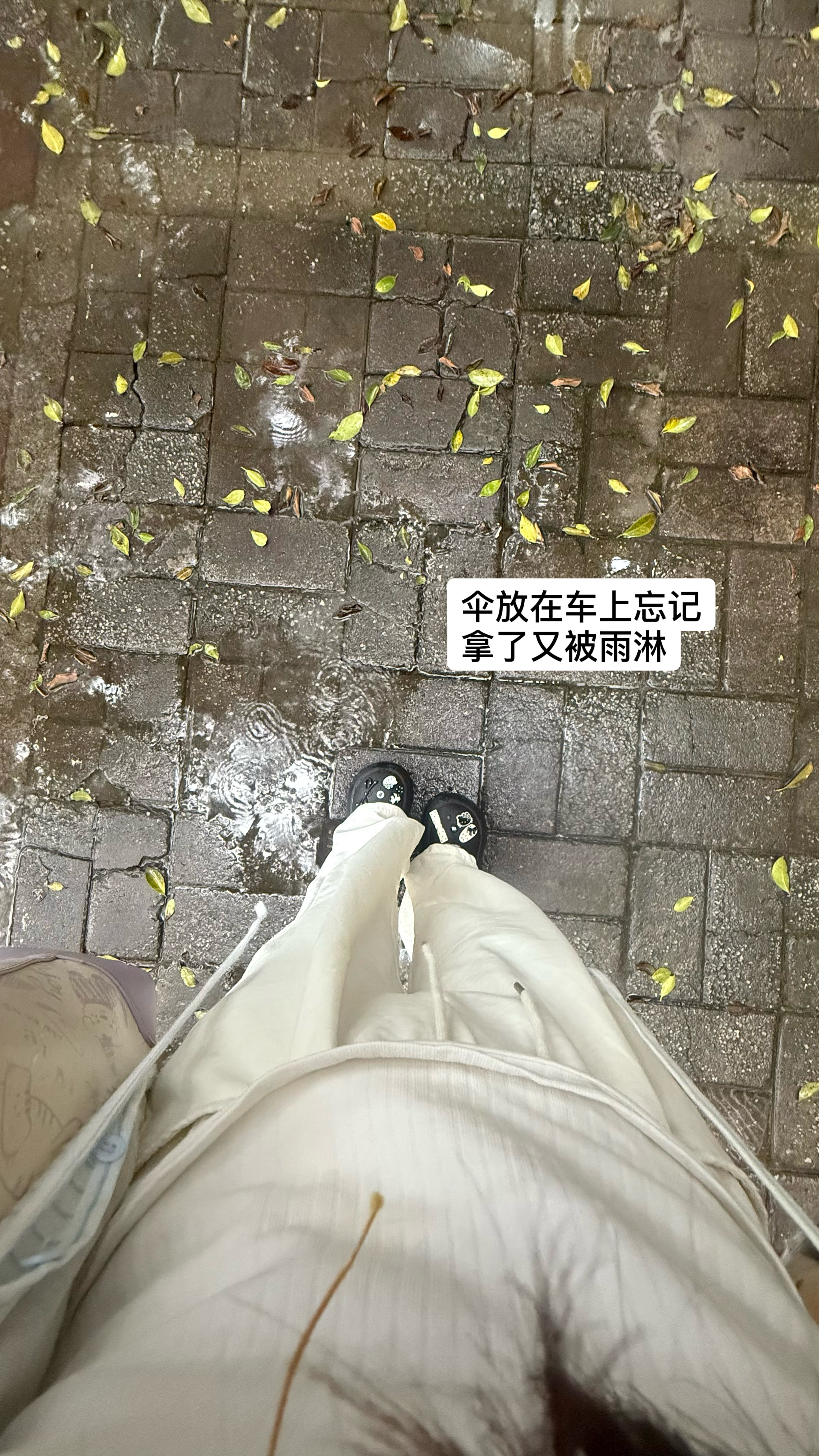 小记。ﾟ๑ 