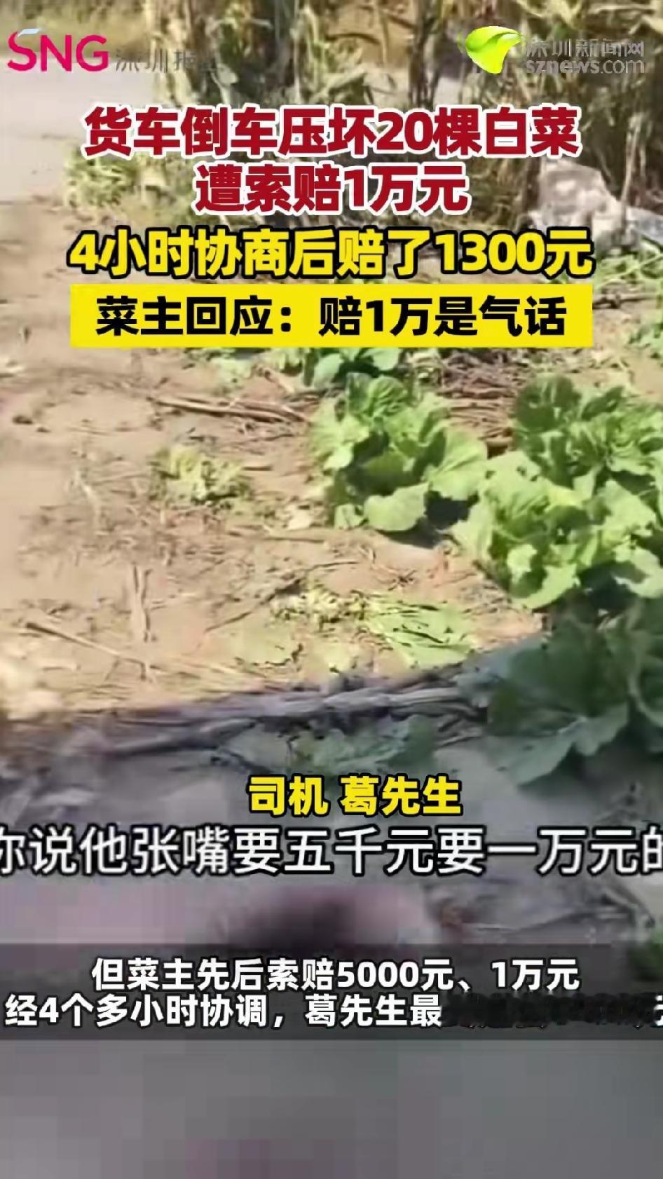 货车倒车压坏20棵白菜，菜主先要5000，再要1万，僵持4个多小时，最后司机赔了