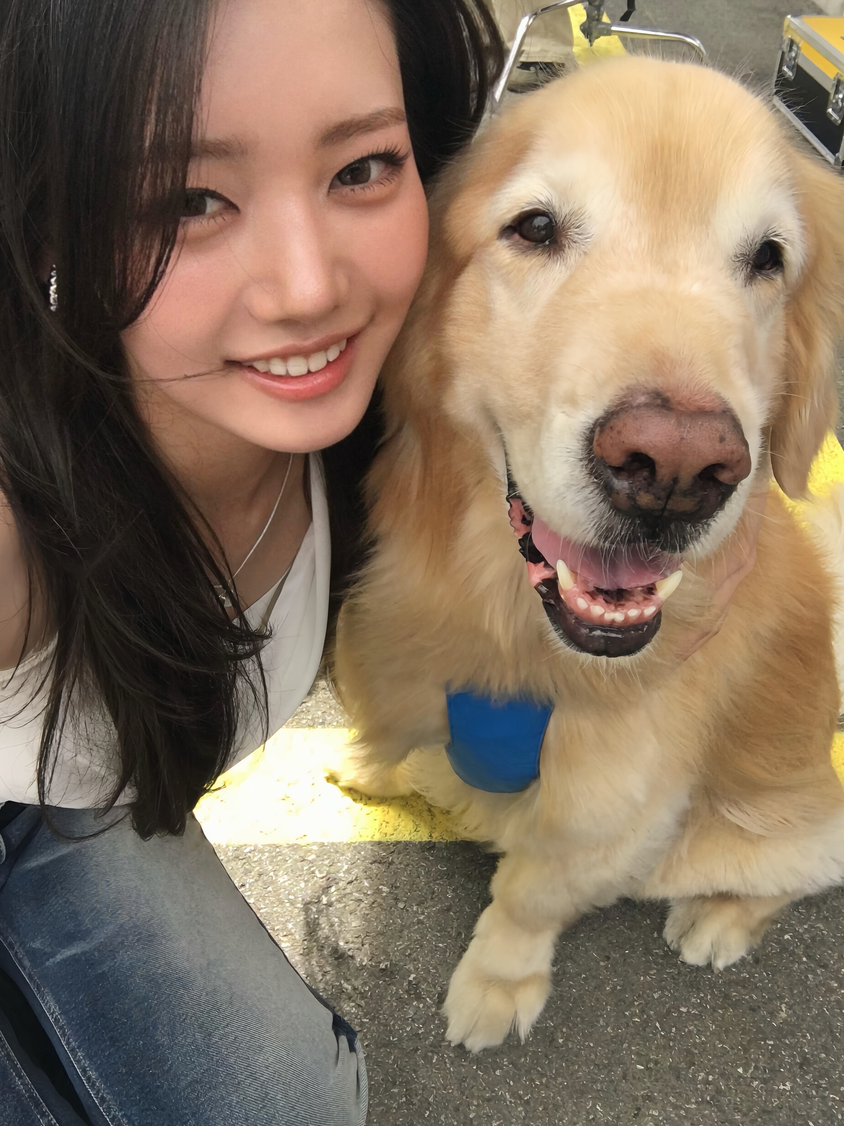 李茶仁 