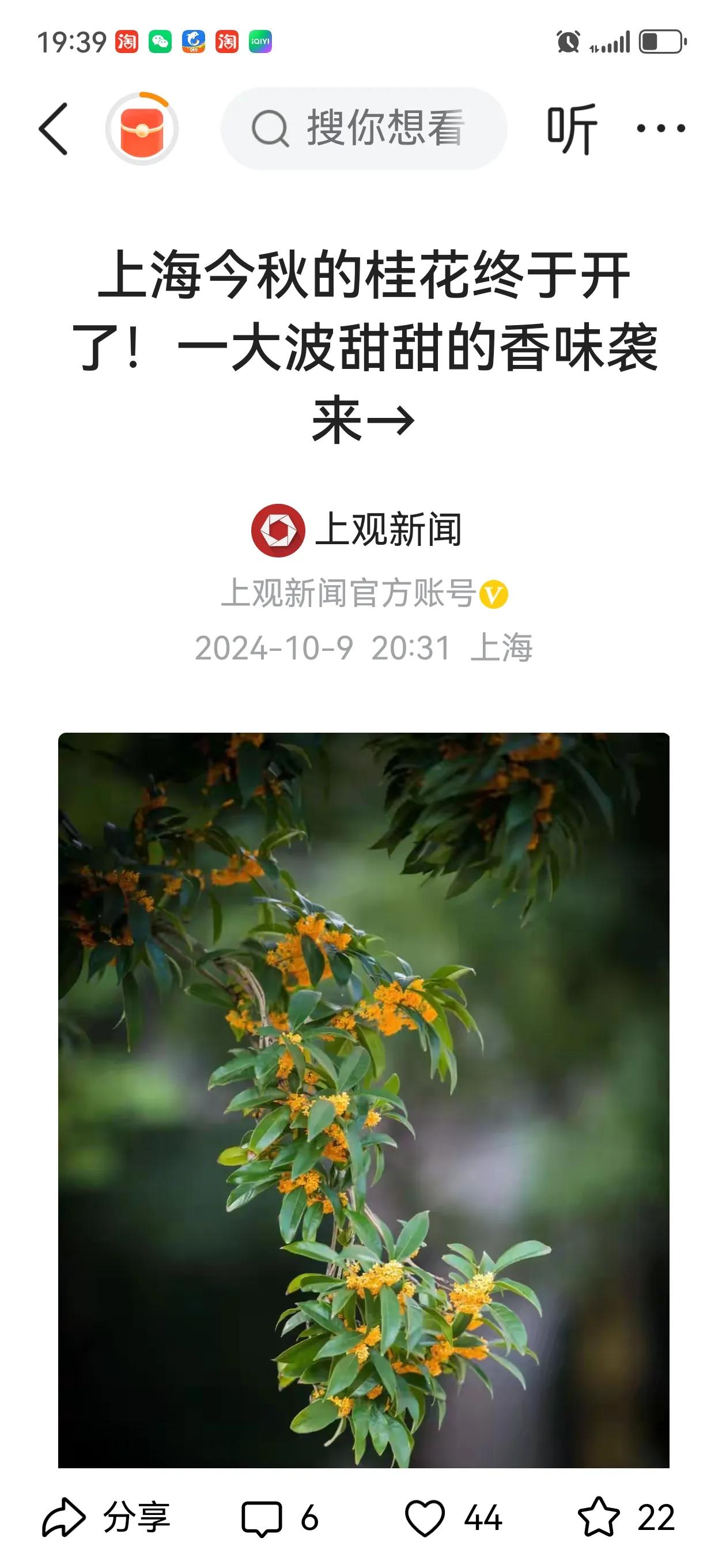 宁波的桂香～
杭州的秋桂～
上海的桂花～
——沪杭甬的桂花雨～[爱慕]