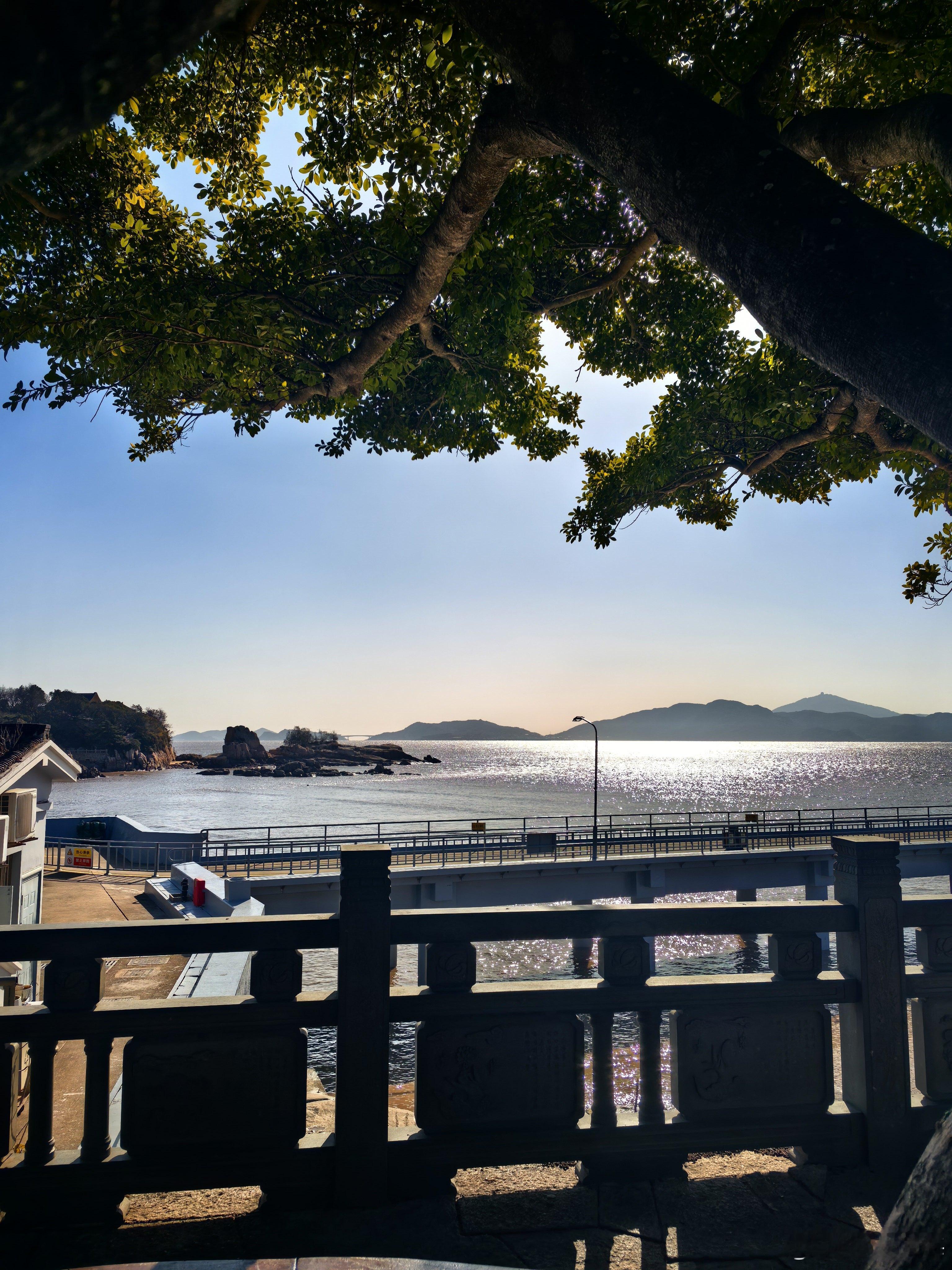 新壁纸  早安！ 