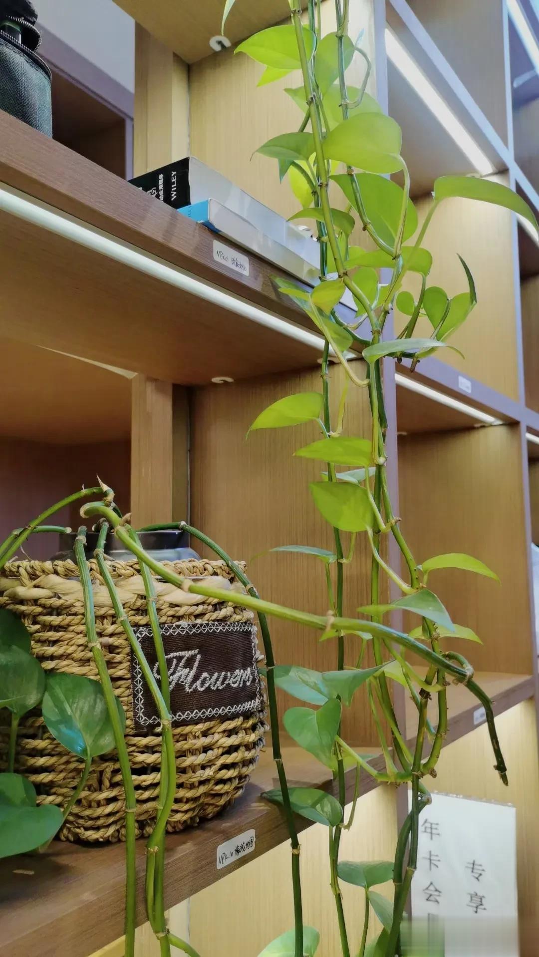  
你的城市，入秋成功了吗？一场场秋雨，一阵阵秋风，一片片秋叶，带来了秋日特有的