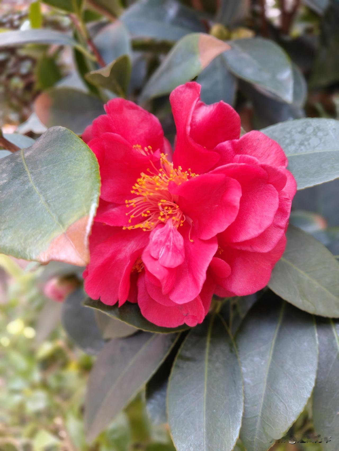 记仇就是内耗！？
放下仇恨就是放过自己！
不，
我记仇，
我不傻，知道仇恨伤身心