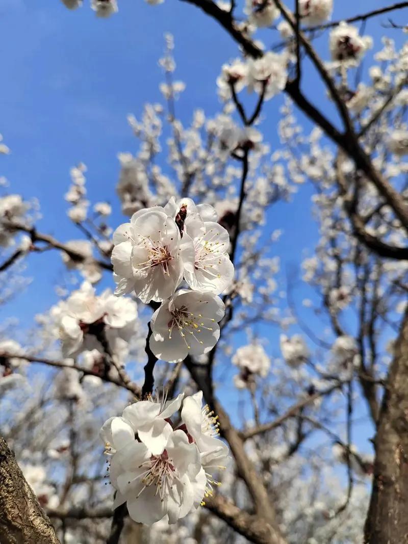 怀天经智老因访之 
【宋】陈与义
今年二月冻初融，睡起苕溪绿向东。
客子光阴诗卷