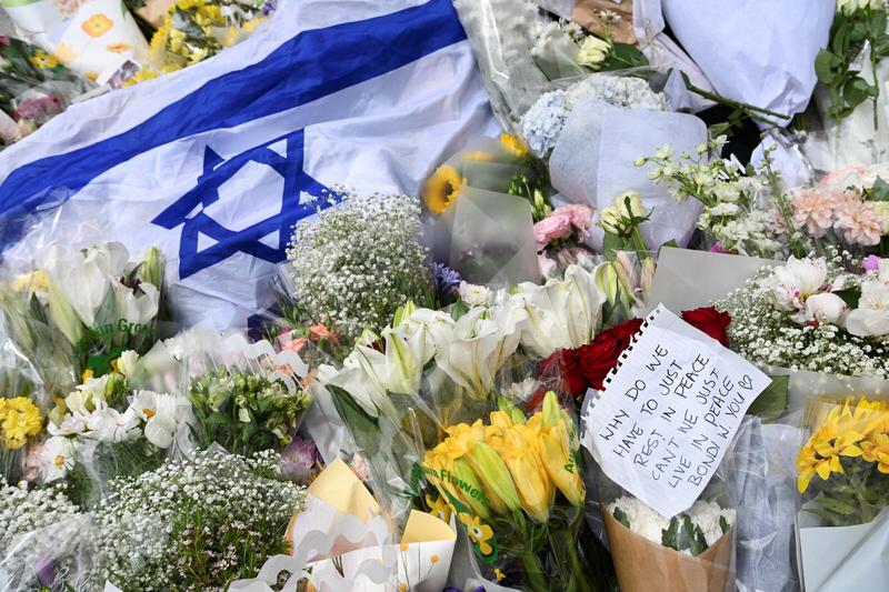 事件恶劣性

此次事件是澳大利亚自1996年严格控枪后最严重的枪击事件，还是针对