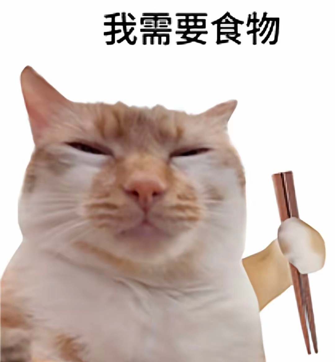中午好 你们吃饭了吗 我快饿扁了 