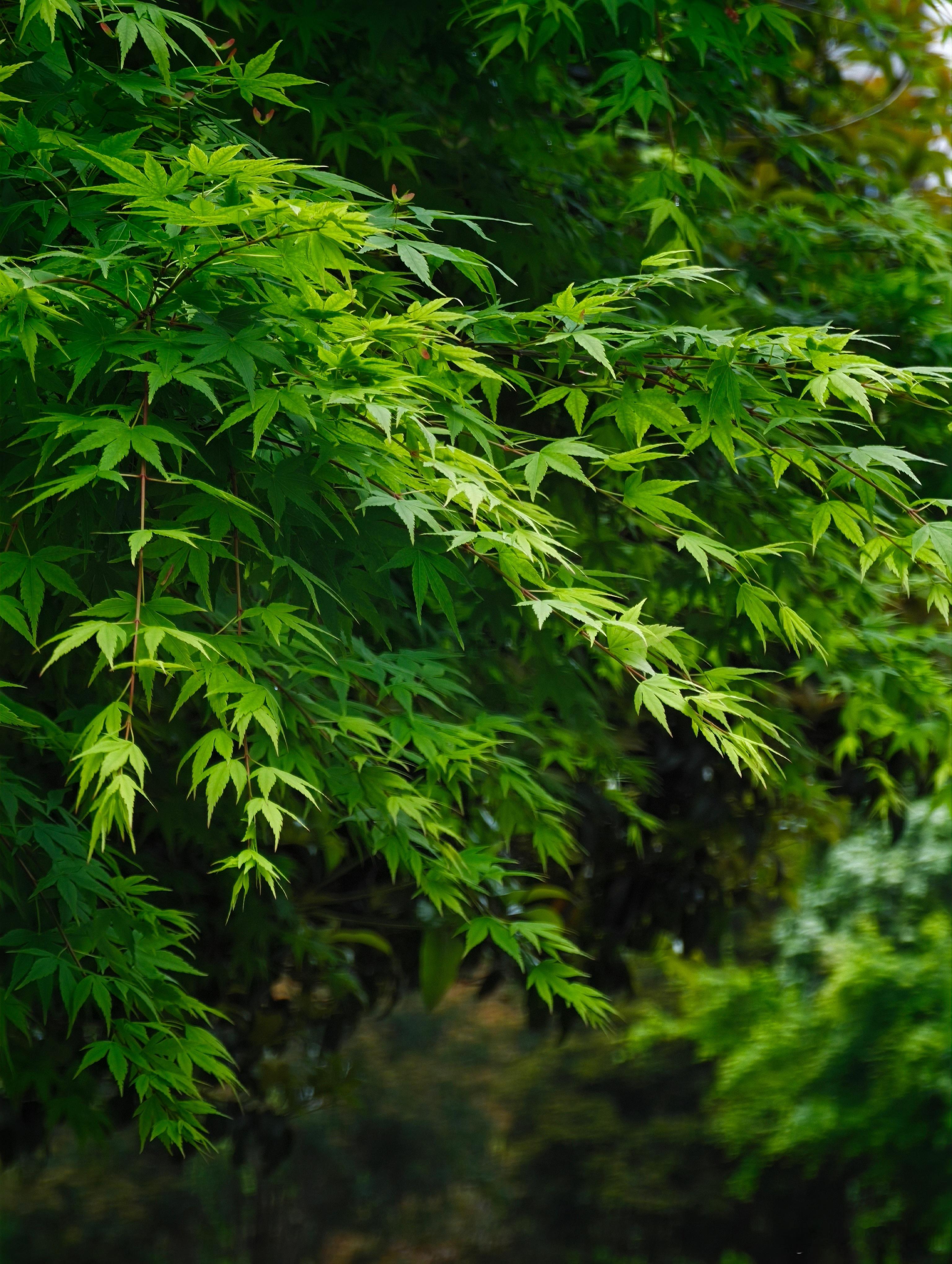 【闲聊】目前市面上的AI大模型和AI工具，对你的日常工作来说，提升帮助大吗？ 