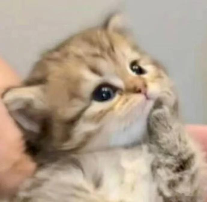 预制交换礼物 一直觉得交换礼物有点麻烦，直到我试了预制礼盒！不用纠结挑选，组合搭