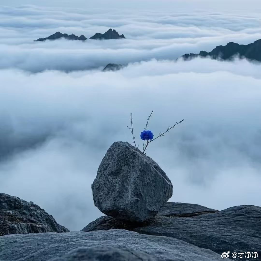 阳光信用这世上什么都有，就是没有如果，人始终都会变，但绝不会变回从前。 