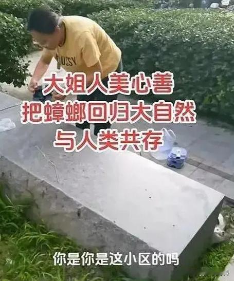 放生蟑螂是什么操作？河北廊坊，男子在小区散步时意外发现，一陌生大妈正在放生上千只