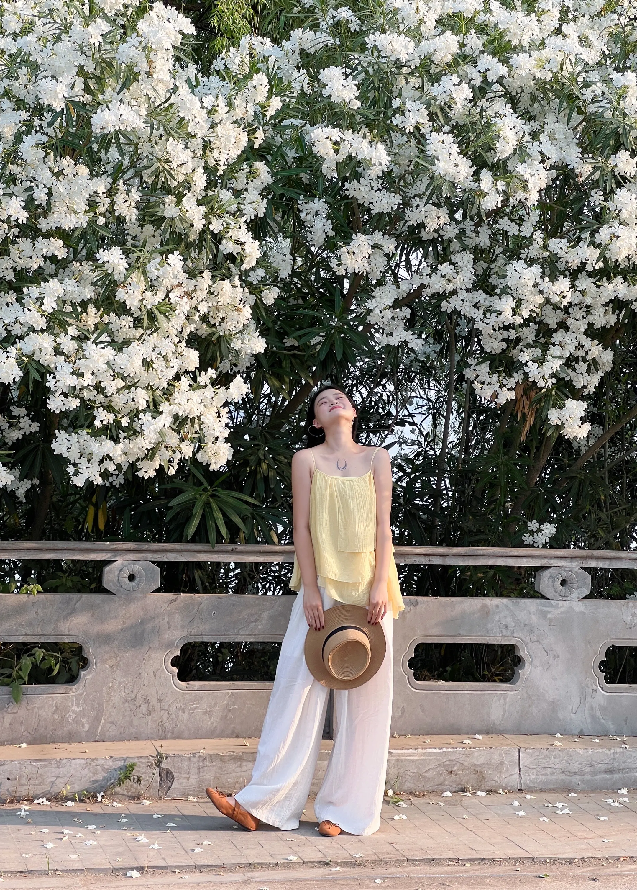 在邳州 盛开的夹竹桃花海 是自由而又热烈的夏天… 邳州