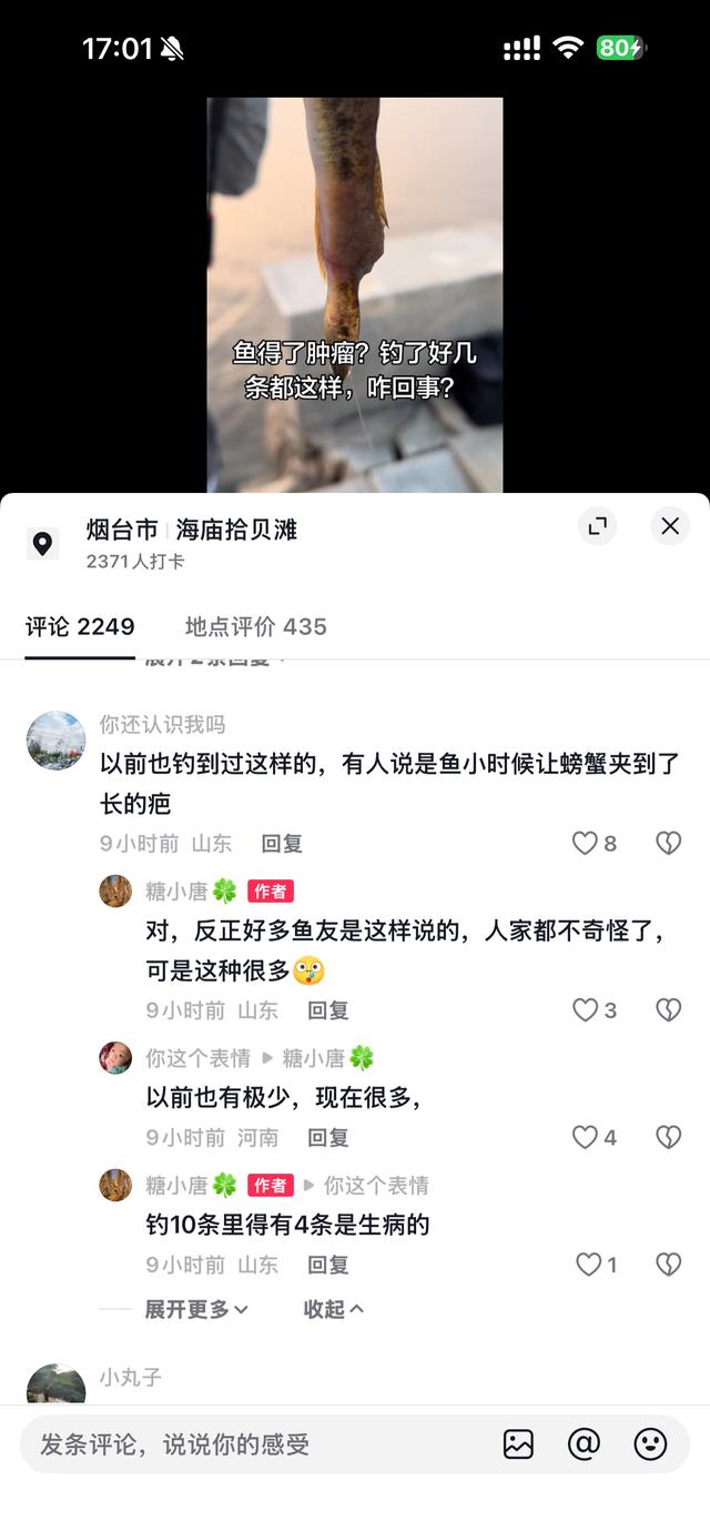 近日，华商报大风新闻记者针对山东莱州海庙东路海域海鱼大面积长出肿块一事，先后致电