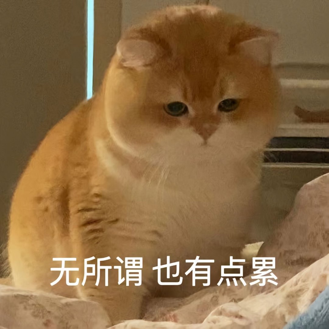 说到躺平我最会了人就要学会厚脸皮看得开绝不给自己添堵 
