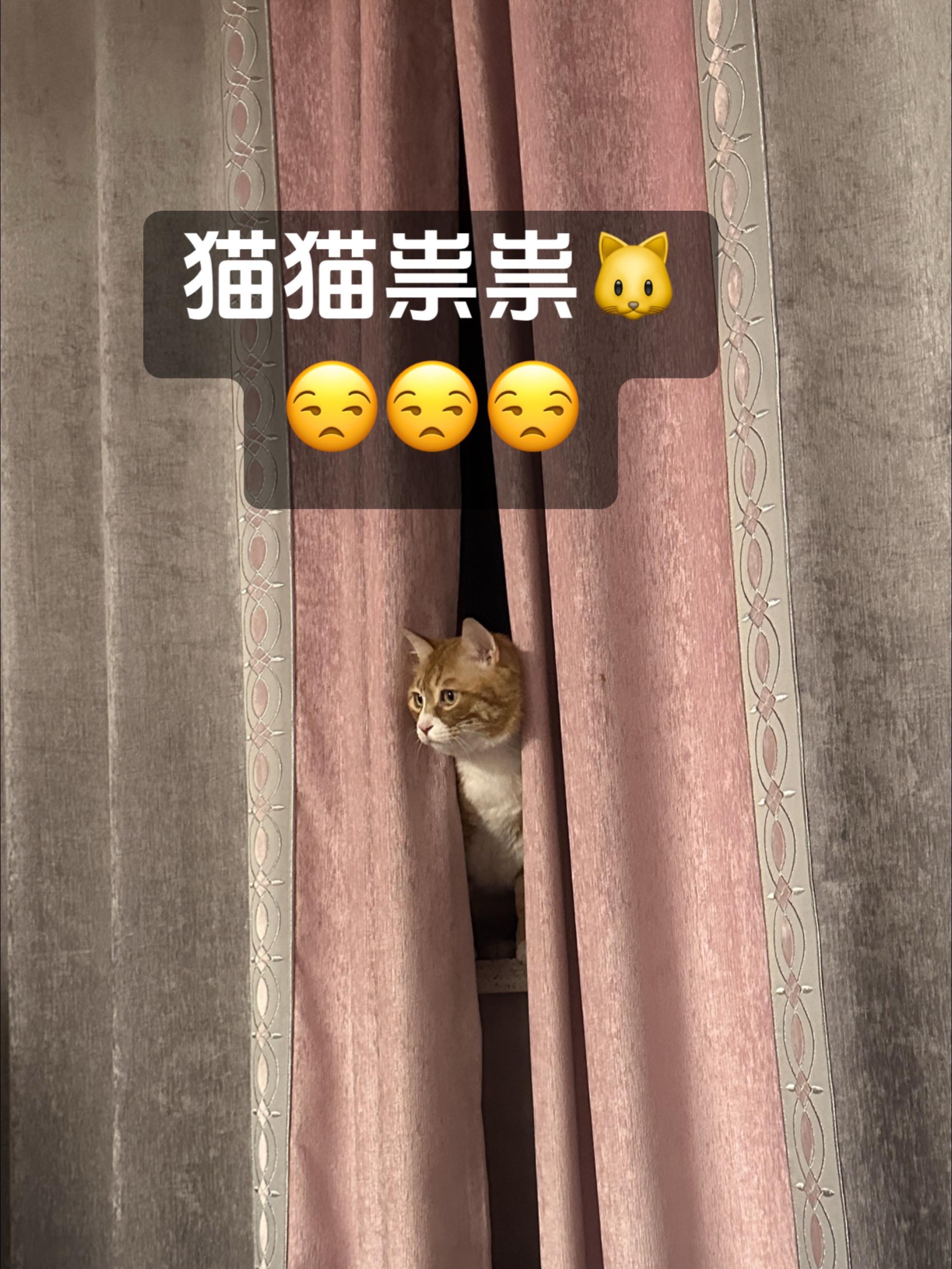 问题不大