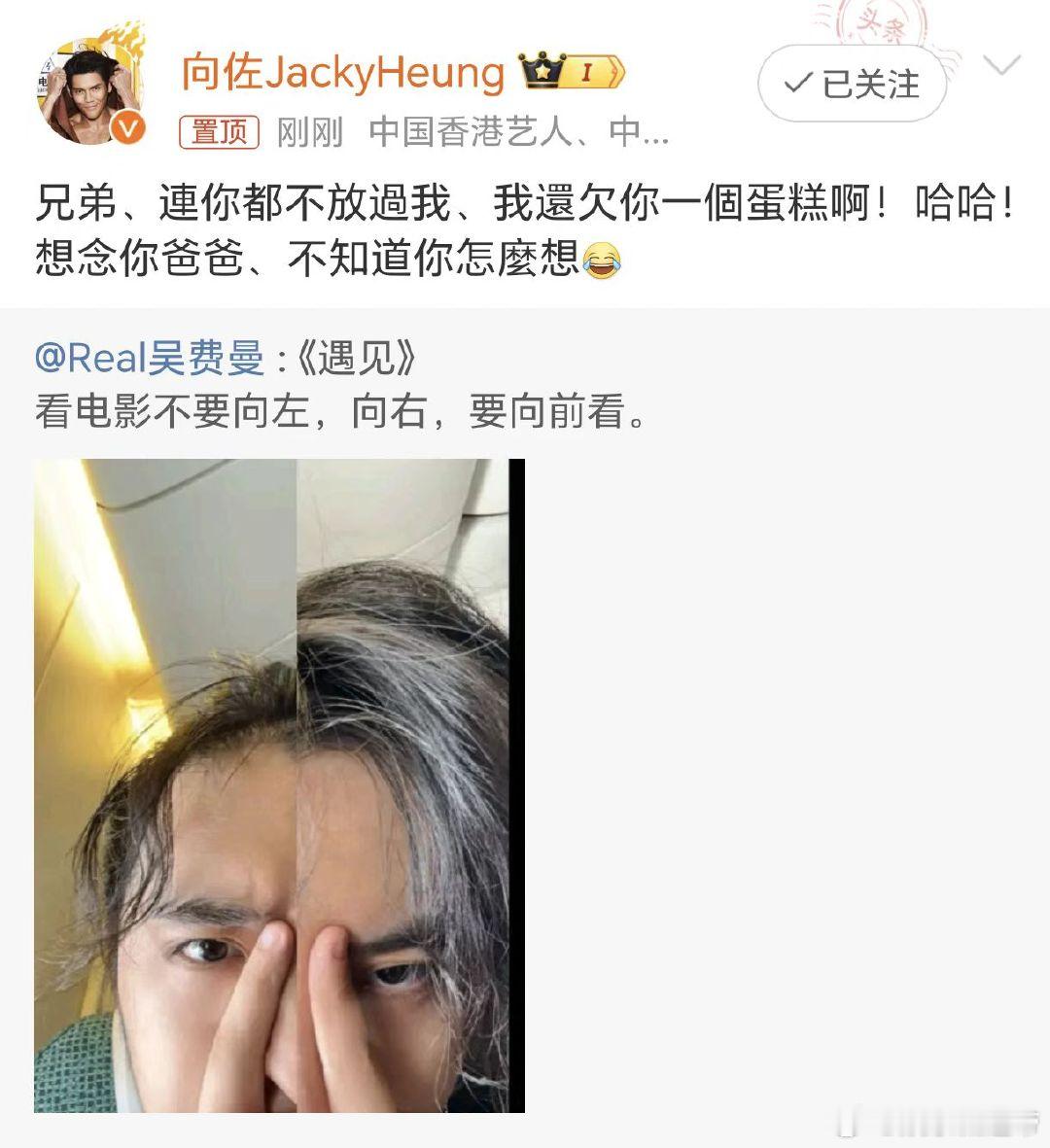 #向佐回复费曼##向佐还欠费曼一个蛋糕# 向佐回复费曼:“兄弟、連你都不放過我、
