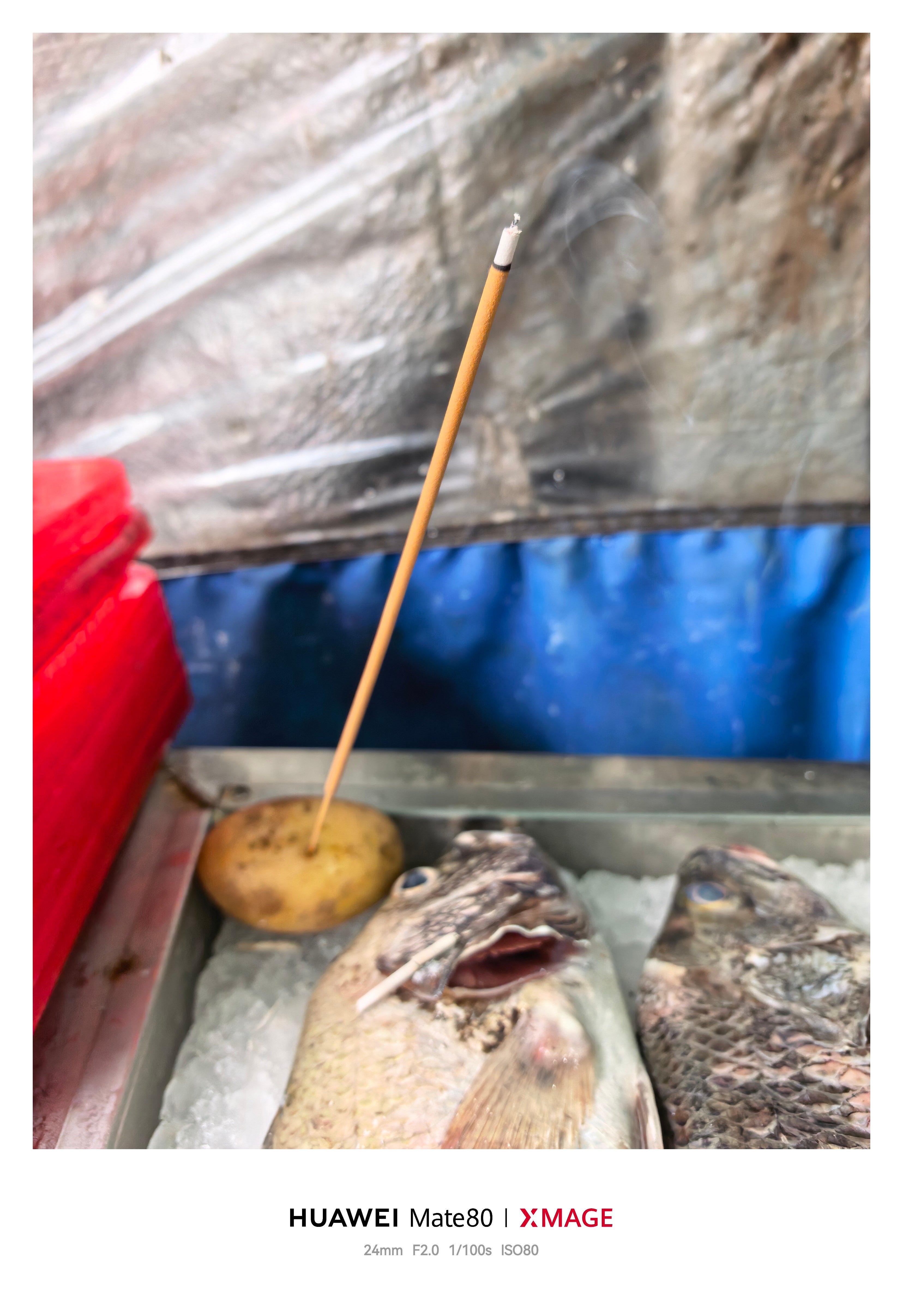 逛早市看到的，土豆🥔插香，必须拍照发🧣[喵喵] ​​​