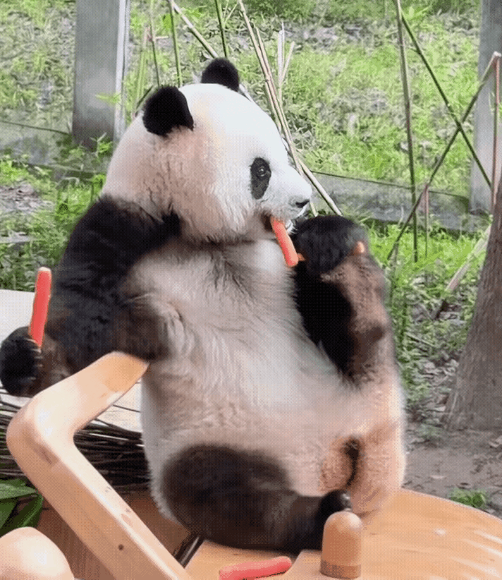 莽小五又在耍什么宝？这个娃娃真的是又好看又好笑，我觉得爱上莽小五就像呼吸一样简单