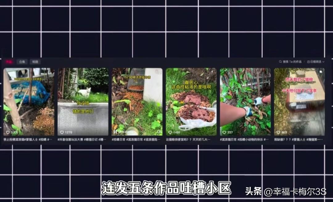 小区投喂流浪猫惹出大矛盾，大哥被逼得连发五条作品吐槽爱猫人士，却被网暴。
 
上