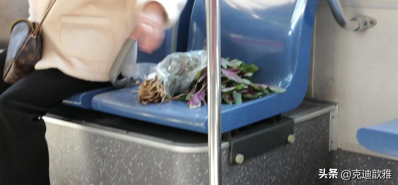 最后一个乘客上来的时候，只有一个坐位上没坐人了，可是那上面放着一把苋菜，还是带着