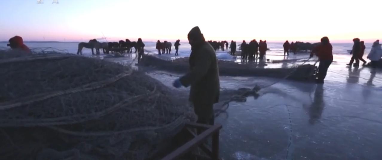 冬日的查干湖，冰层之上是渔人们忙碌的身影。凿冰、下网、拉绳，每一个动作都带着传承