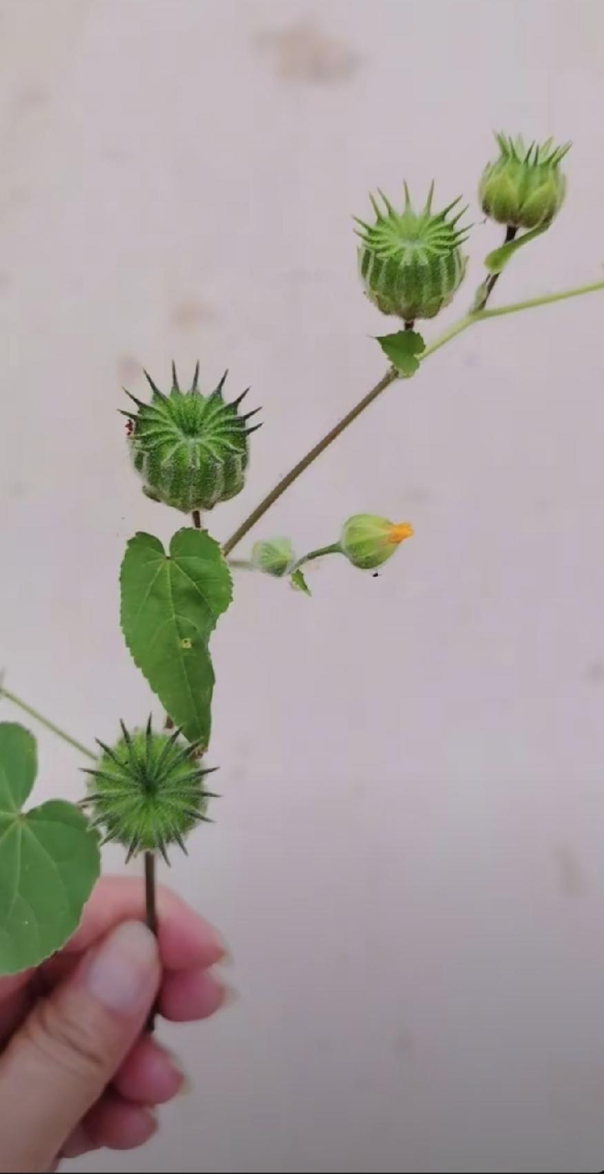 男人最后
拼的不是你多有钱
拼的是枕边人。
知你辛苦，懂你难处，
不问贫富，只伴