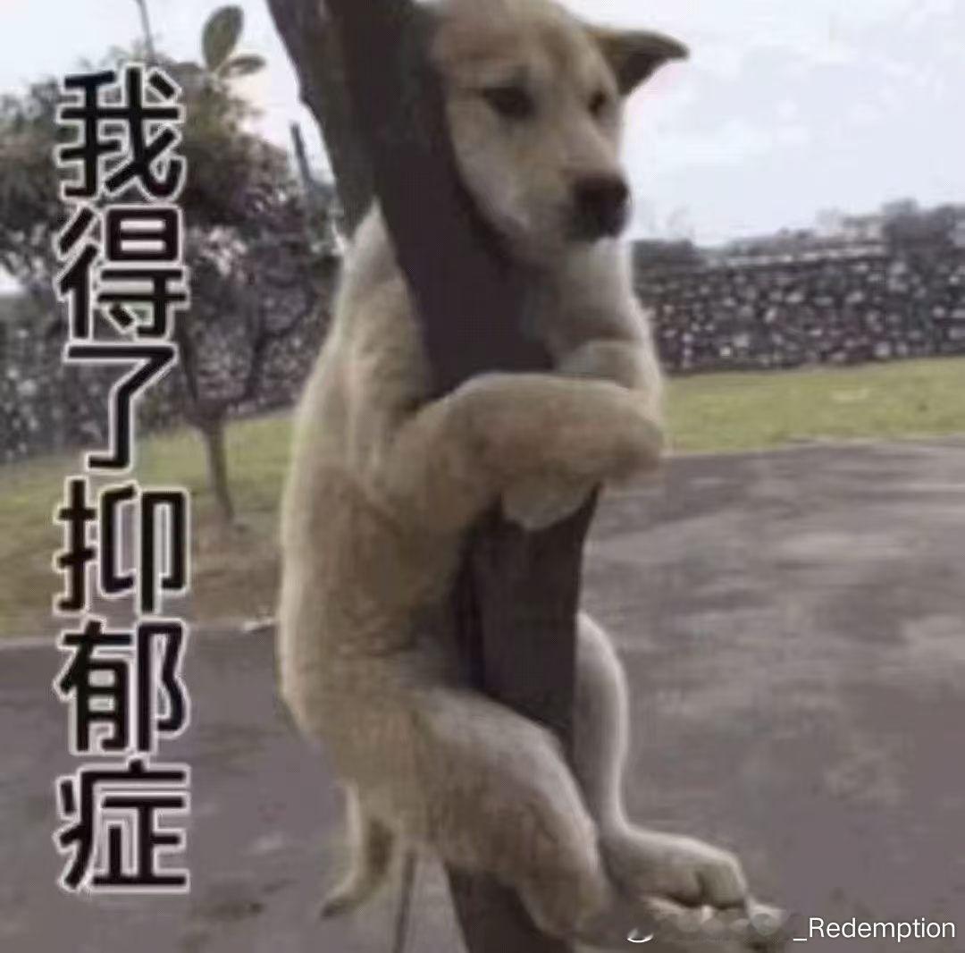 分享图片 